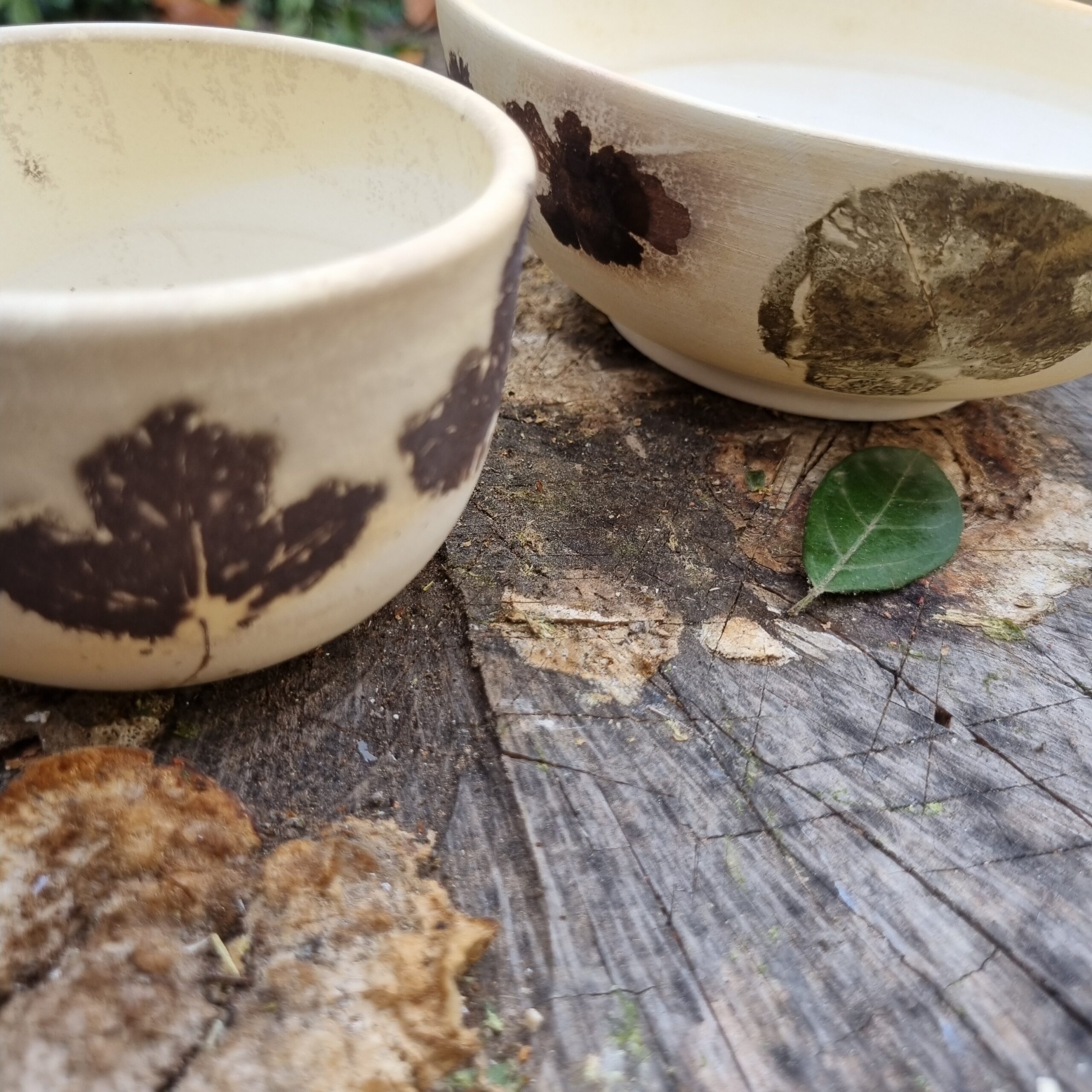 Taller d'estampaci&oacute; bot&agrave;nica en cer&agrave;mica